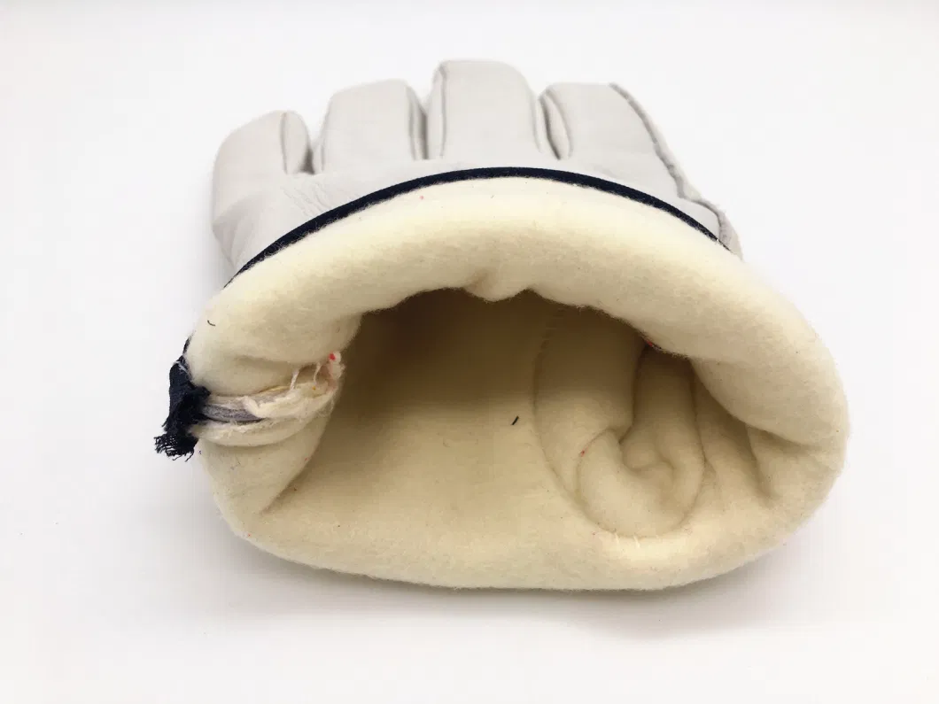 Fully Cow/Goat/Pig Leather Thinsulate C100 Lined/Unlined Driver Winter Glove Work Glove